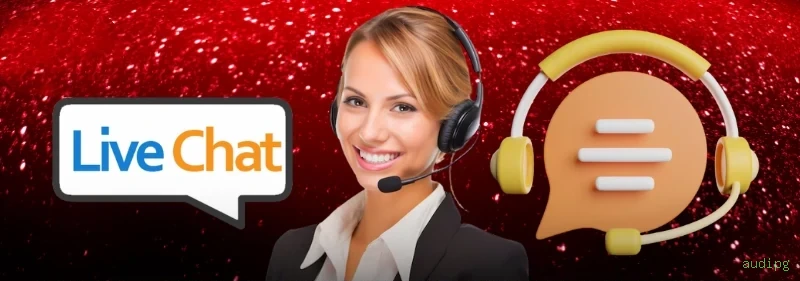Equipe de suporte ao cliente da audipg